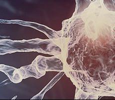 Bioidentical Hormone Replacement