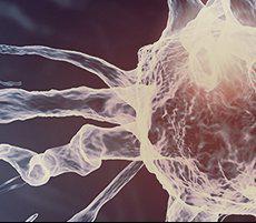 Bioidentical Hormone Replacement